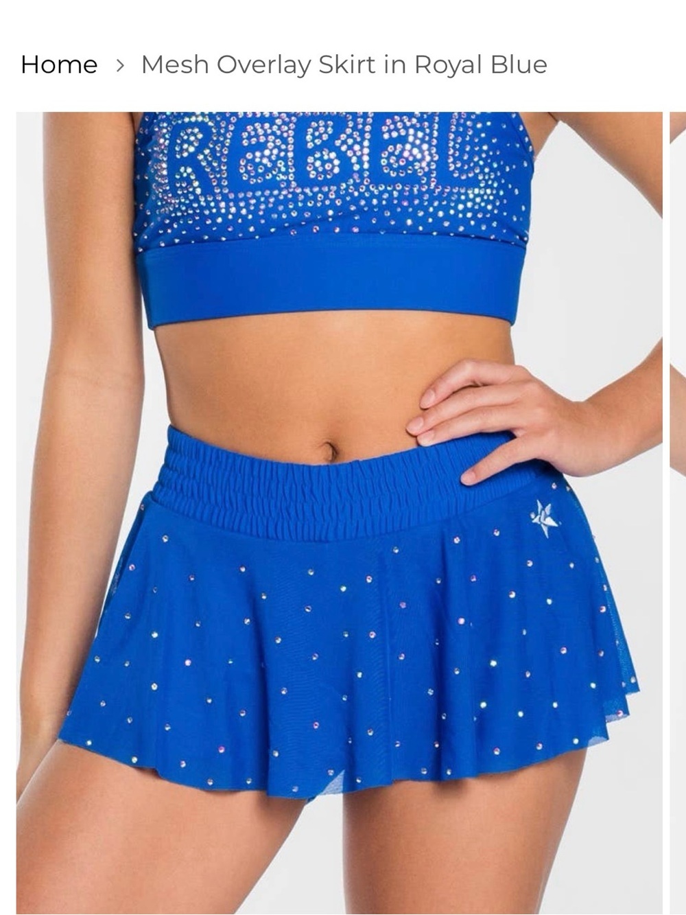 Rebel Mesh Overlay Skirt in Royal Blue YM